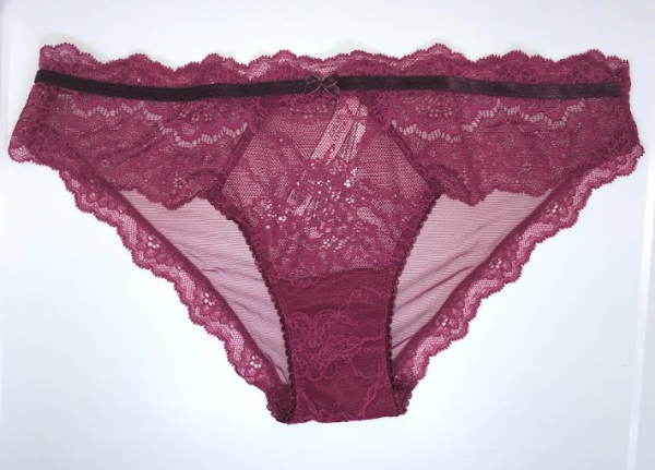 Victoria Secret Panti estilo bikini con ribete de encaje y malla tease
