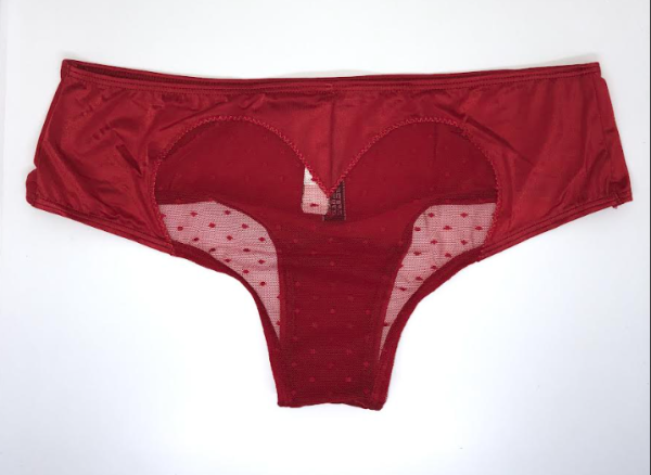 Victoria Secret Panti cheeky con malla tease al frente